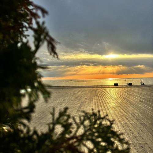 Photo #13087092