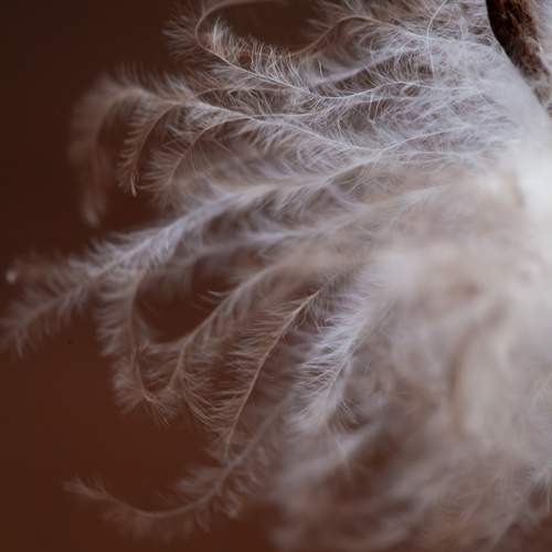 Photo #13087326