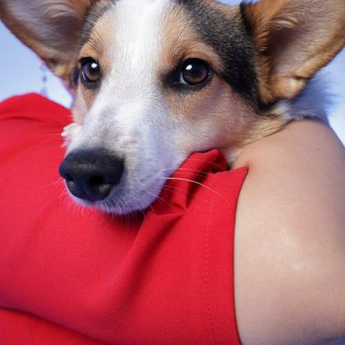 Photo #13087349