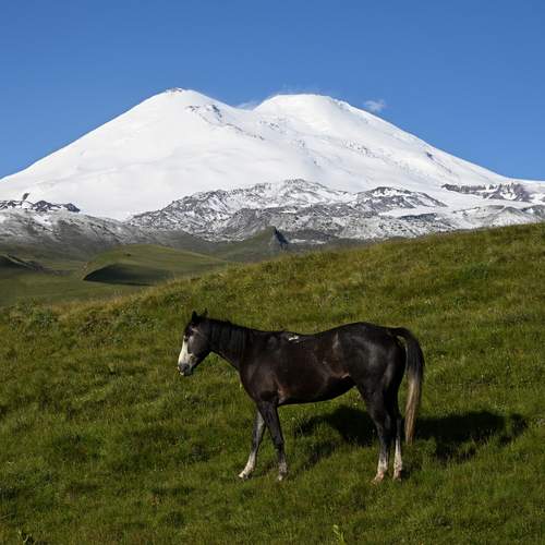 Photo #13087354