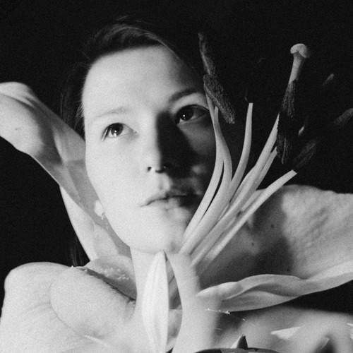 Фотография #13087424