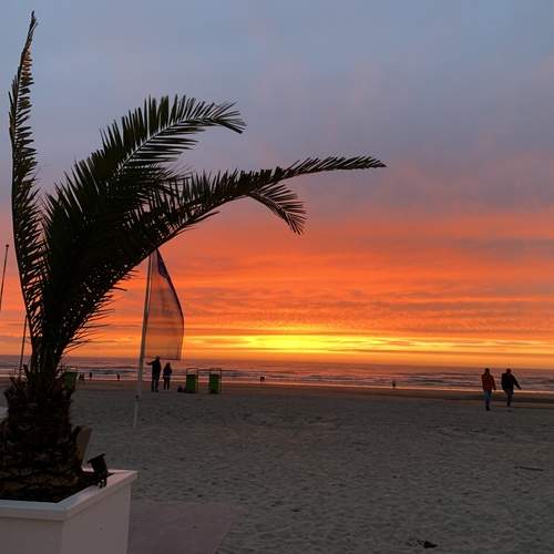 Photo #13087526