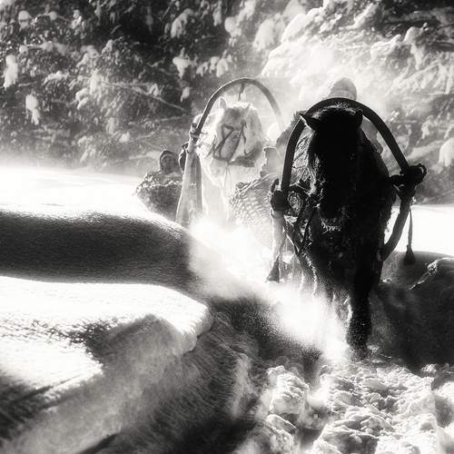Photo #13087582