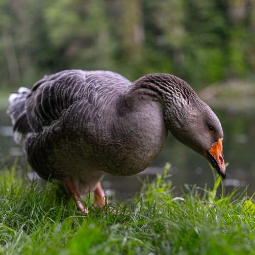 Photo #13087651