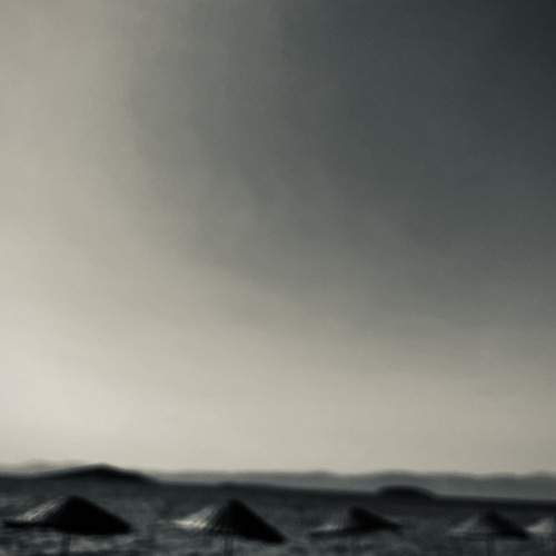 Photo #13087755