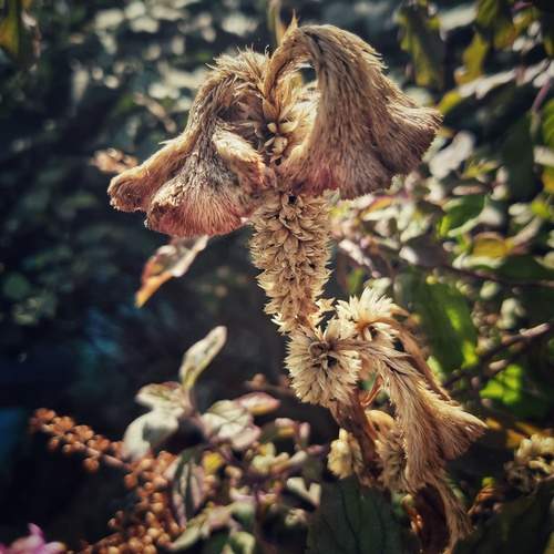 Photo #13087890
