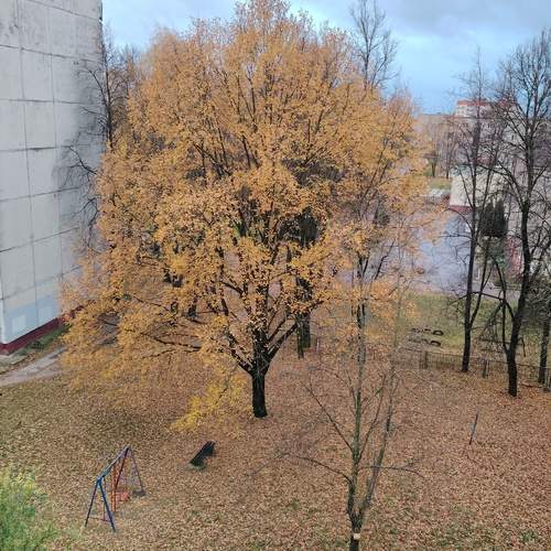 Photo #13087943