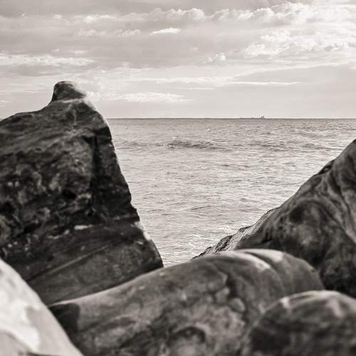 Photo #13087970