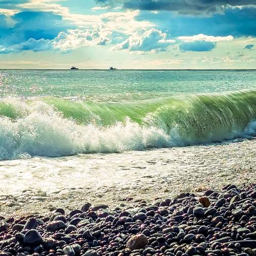 Photo #13087974