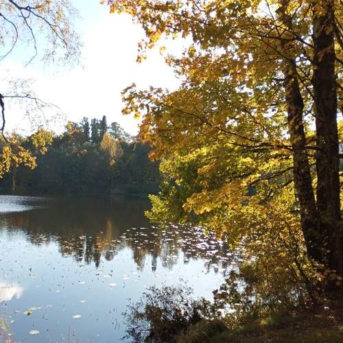 Photo #13088098