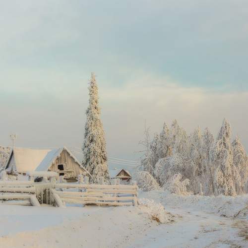 Photo #13088179