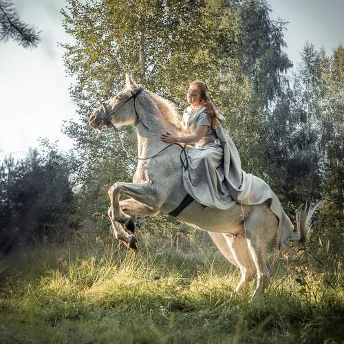 Фотография #13088303