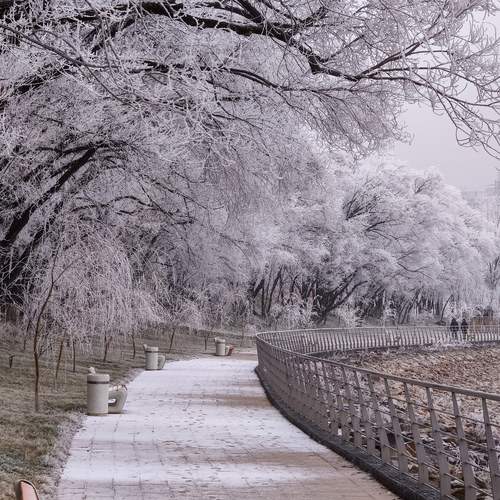 Photo #13088319