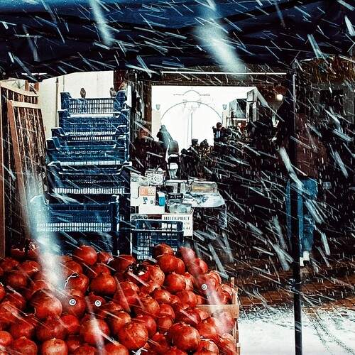 Photo #13088449