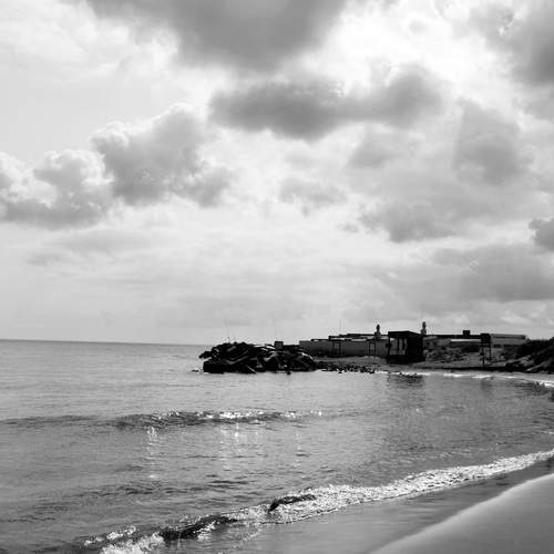 Photo #13088458