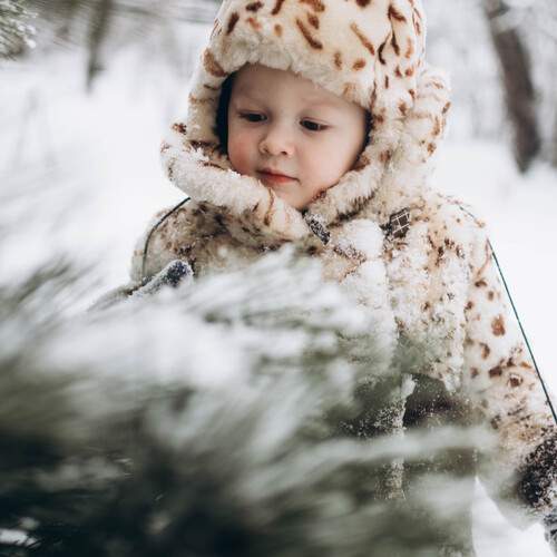 Photo #13088595
