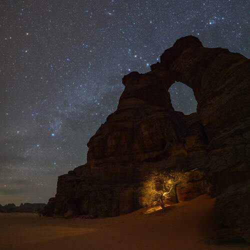 Photo #13088612