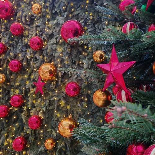 Photo #13088768