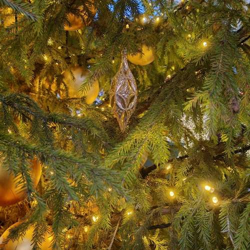 Photo #13088770