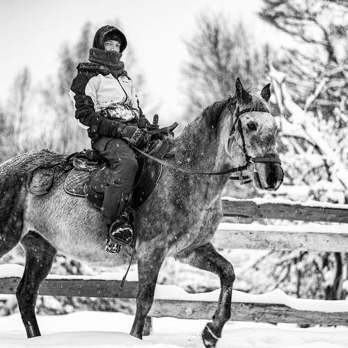 Фотография #13088791