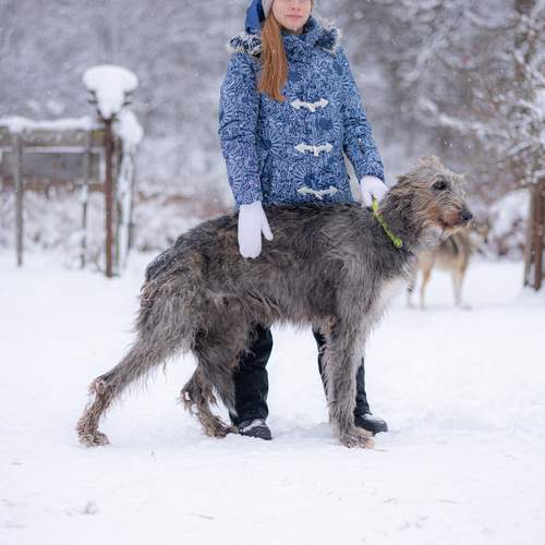 Фотография #13088796