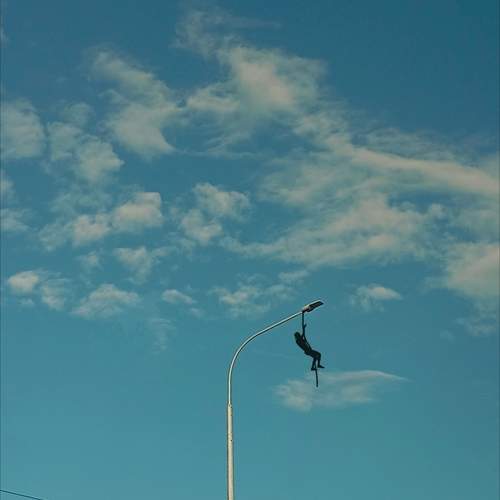 Photo #13088890