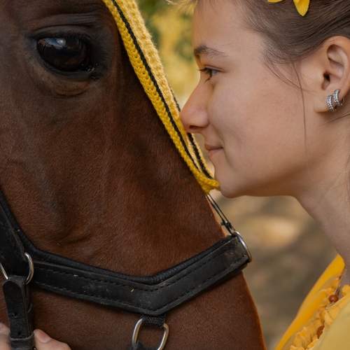 Photo #13088962