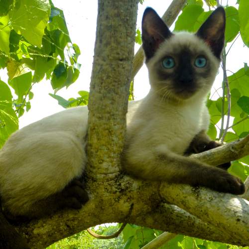 Photo #13089252