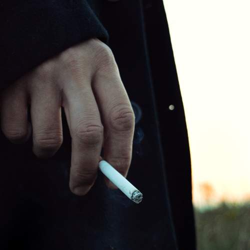 Photo #13089498