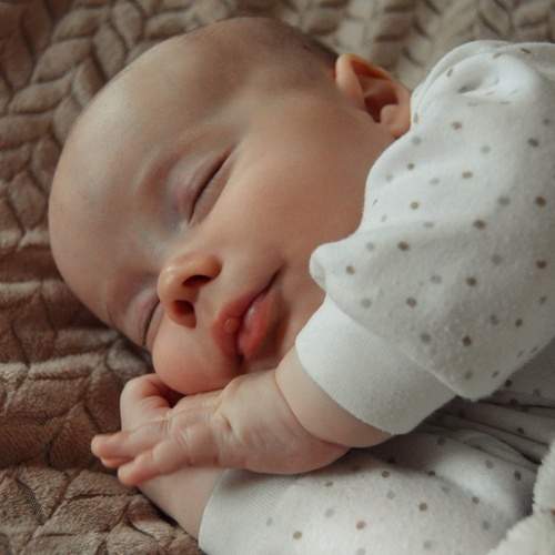 Photo #13089570