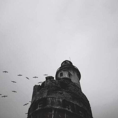 Photo #13089586