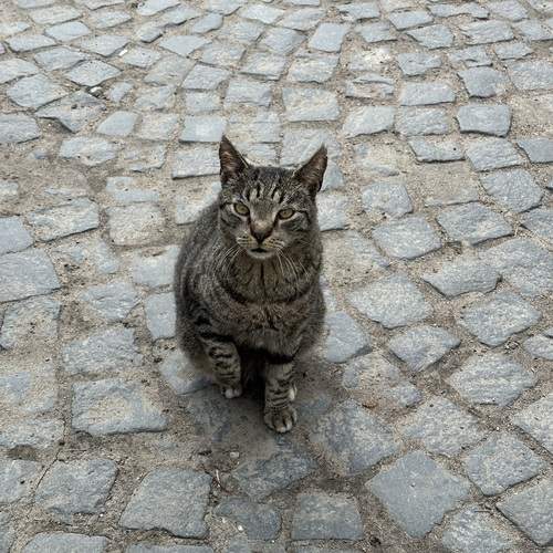Photo #13089723