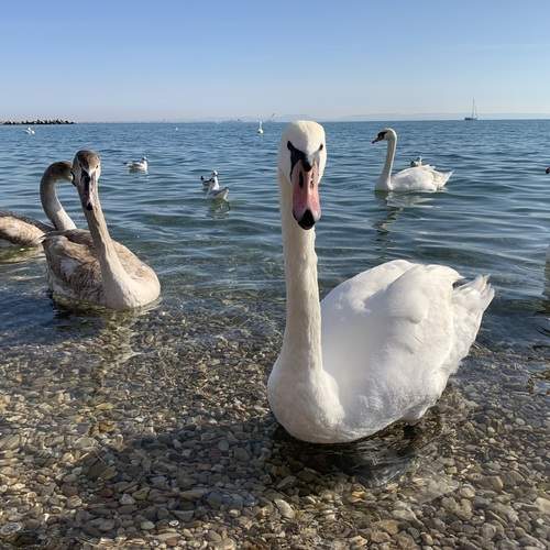 Photo #13089941