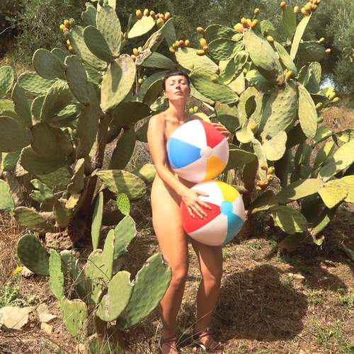 Photo #13090080