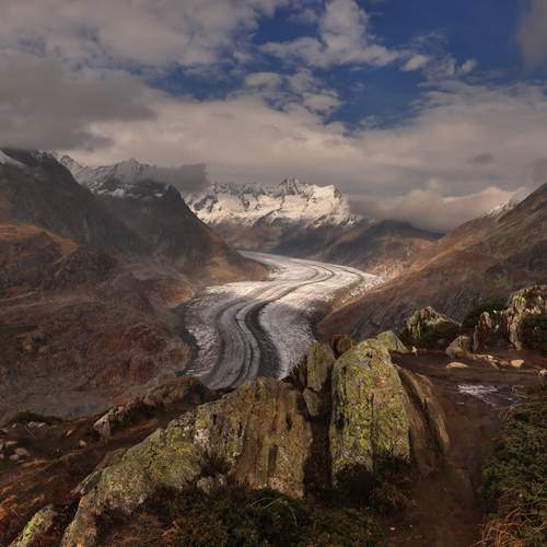 Photo #13090222