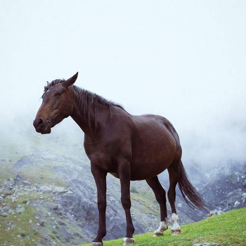 Photo #13090223