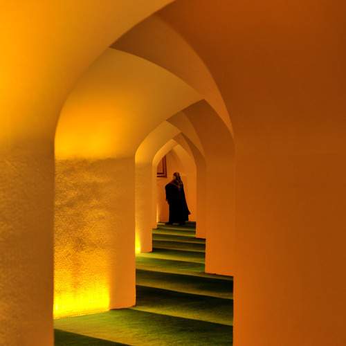 Photo #13090299