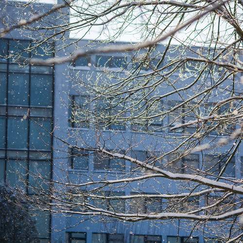 Photo #13090483