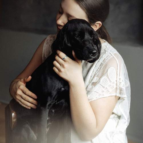 Photo #13090673