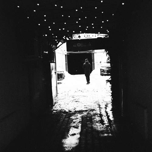 Photo #13090752