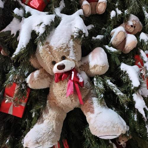 Photo #13090837
