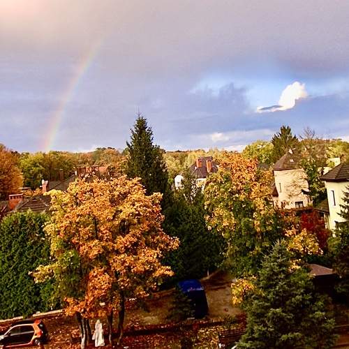 Photo #13090987