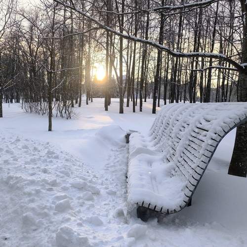 Photo #13091226