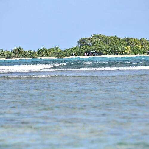 Photo #13091234
