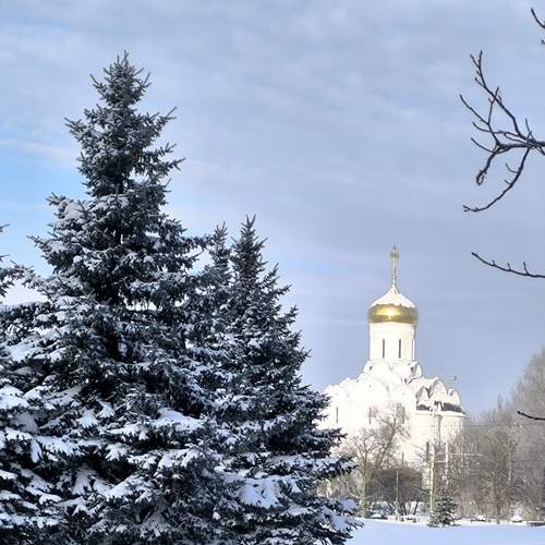 Photo #13091256