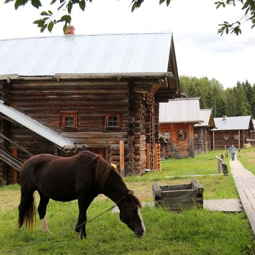 Photo #13091270