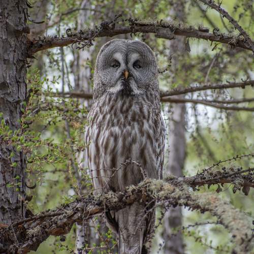 Фотография #13091290