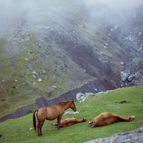 Photo #13091371