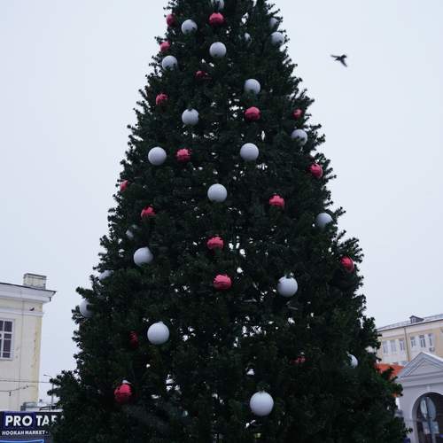 Photo #13091456