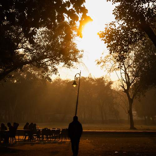 Photo #13091564